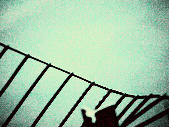 Fence