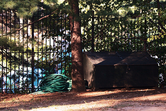 In Central Park
