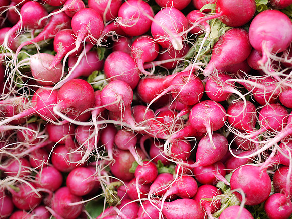 Radishes