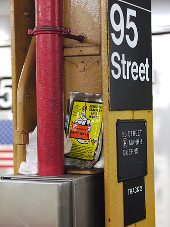 95th Street station, Bay Ridge, Brooklyn