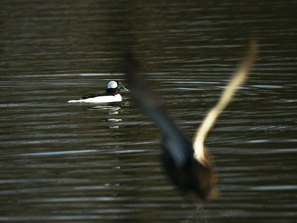 Incoming!