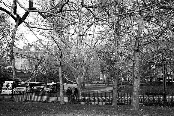 Theodore Roosevelt Park, near the Planetarium