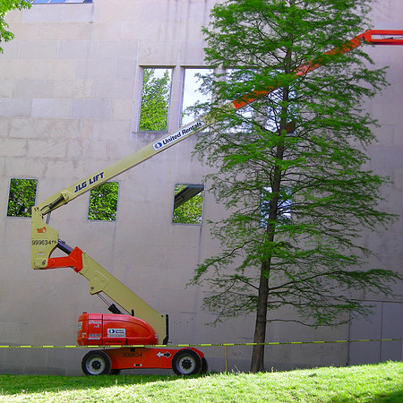 landscape construction