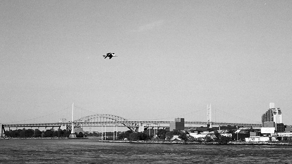 Seagull, and the Triboro and Hell Gate bridges