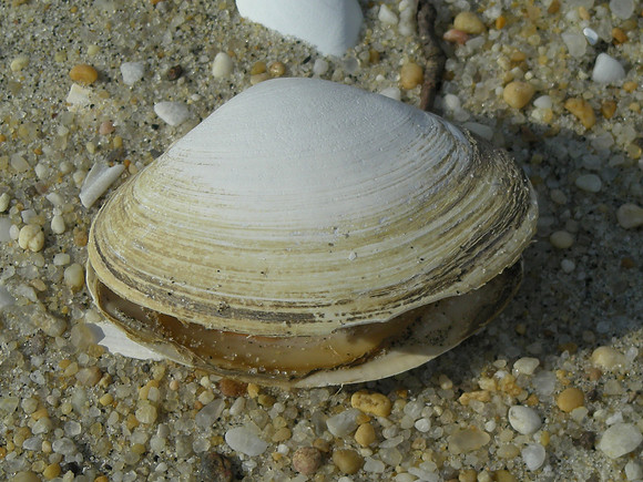 DSCN4793