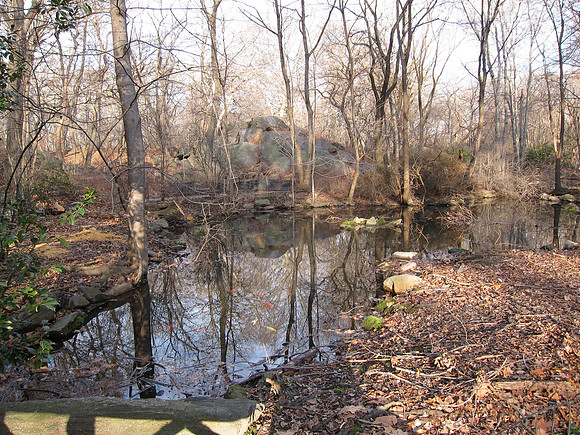 Azalea Pond