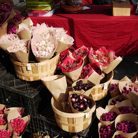 Flowers for sale, Union Square Greenmarket