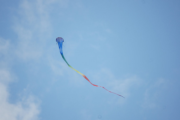 Kite over Central Park