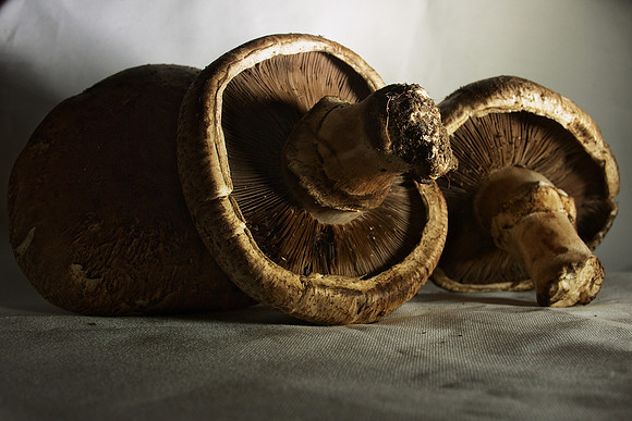 Mushrooms