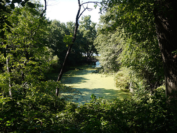 Upper Lobe of Central Park Lake, summer