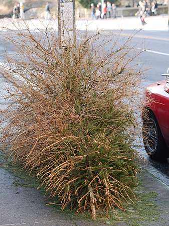 Very bad Christmas Tree