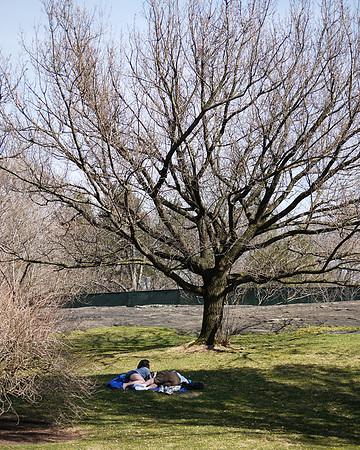 NY Botanical Garden, a sunny day in late winter