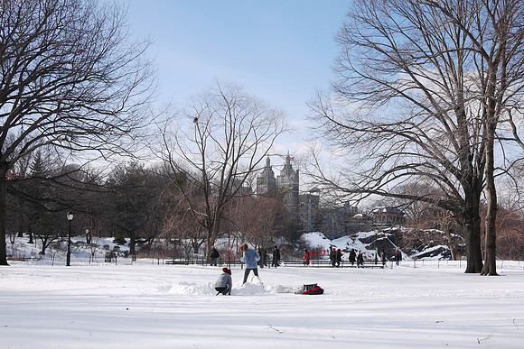 Central Park:  Turtle Pond and Belvedere Castle, Winter