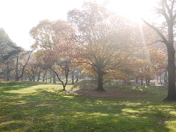 Central Park