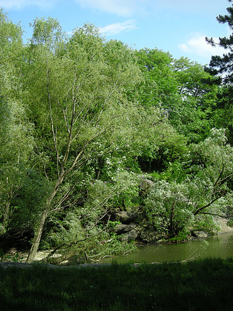 The Lake, Central Park