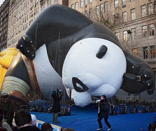 Panda Agonistes