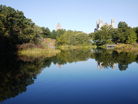 Turtle Pond, Central Park