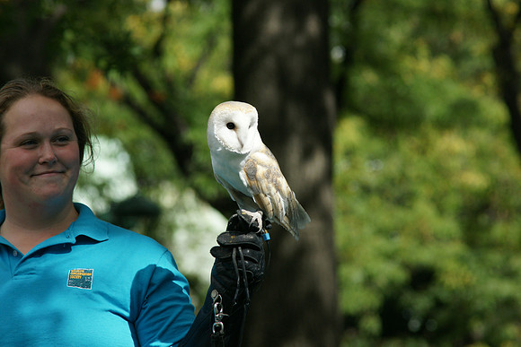 Barn Owl and friend