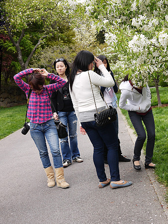 Flower Viewing