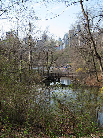 Bankrock Bridge, Central Park