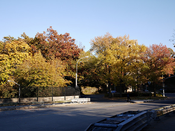 Central Park