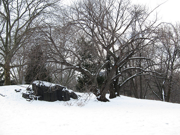Cedar Hill, Winter
