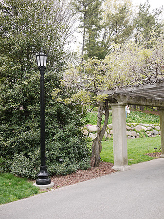 At the Brooklyn Botanic Garden