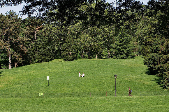 Cedar Hill, Central Park
