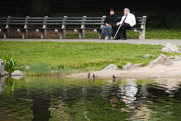 Relaxing Sunday in the park
