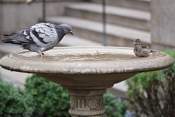 Bryant Park