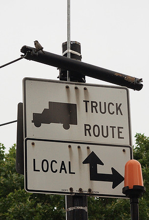 SPARROW, TRUCK ROUTE, LOCAL