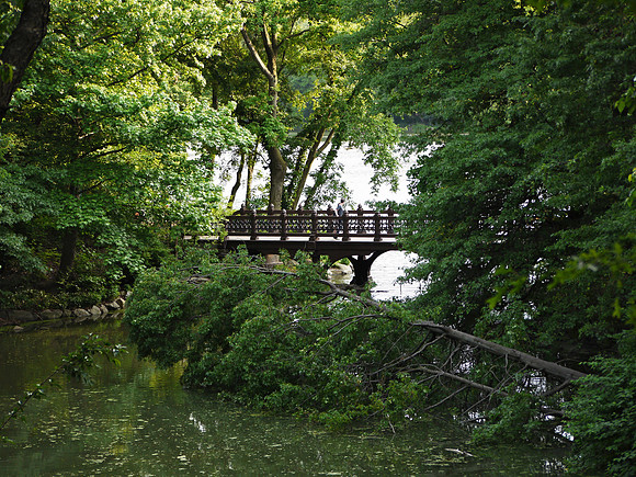 North lobe of Central Park Lake, and Bankrock Bridge