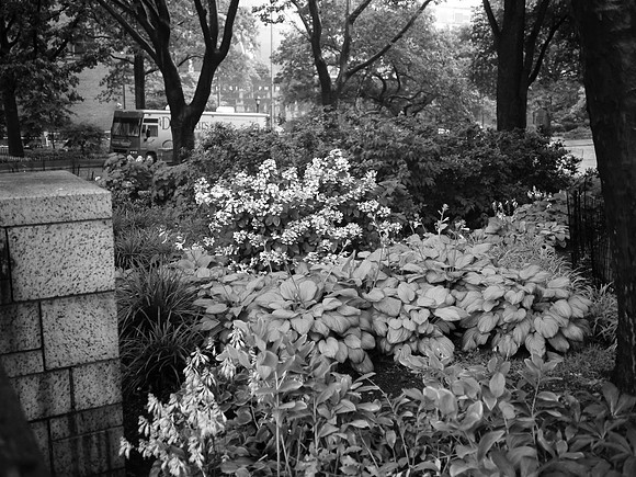 Theodore Roosevelt Park