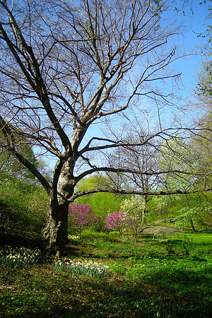 scenic