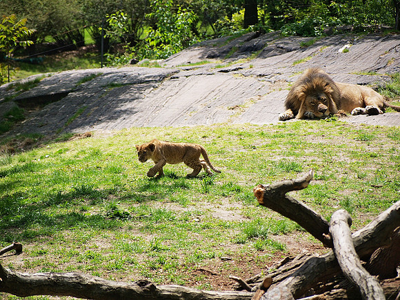run along and play, and let Daddy nap