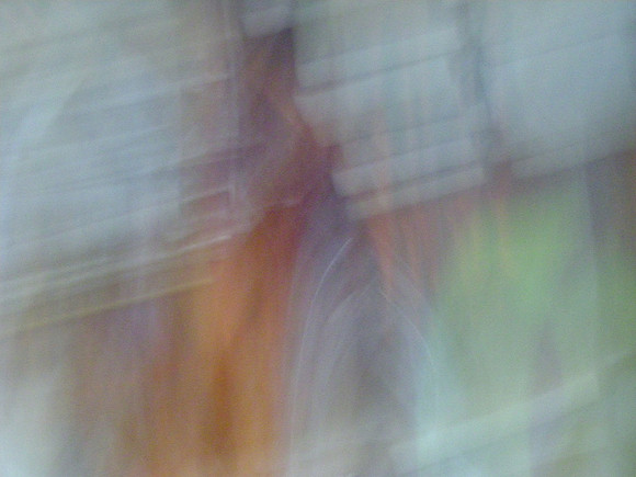 DSCN4529