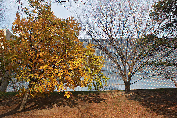 Autumn, Metropolitan Museum of Art