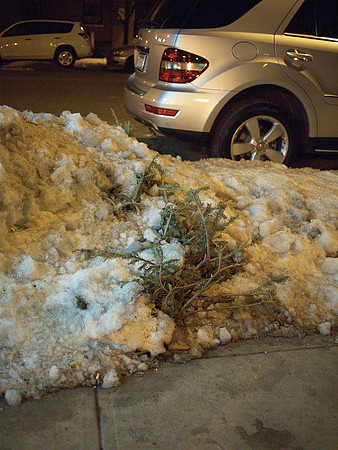 Remains of Christmas