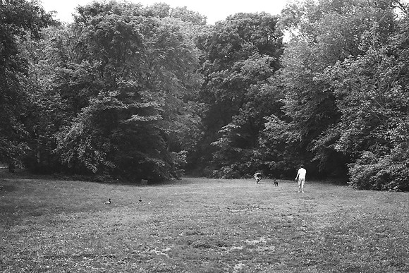 "Maintenance Field", Central Park