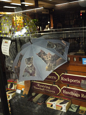 Kitten Umbrella, Port Authority Bus Terminal