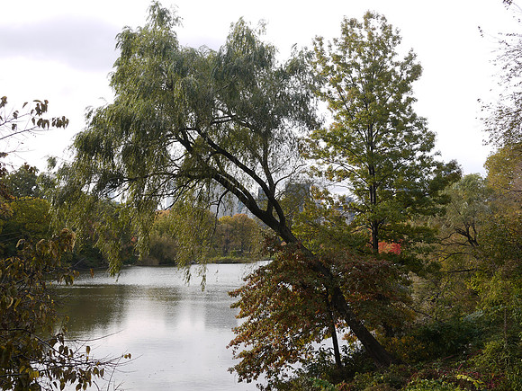 At Willow Rock, Central Park