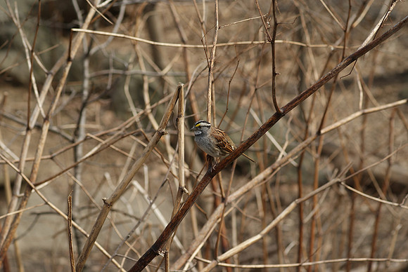 DSC03880