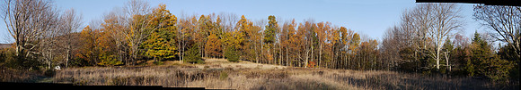 Magnus panorama (Prattsville, NY)
