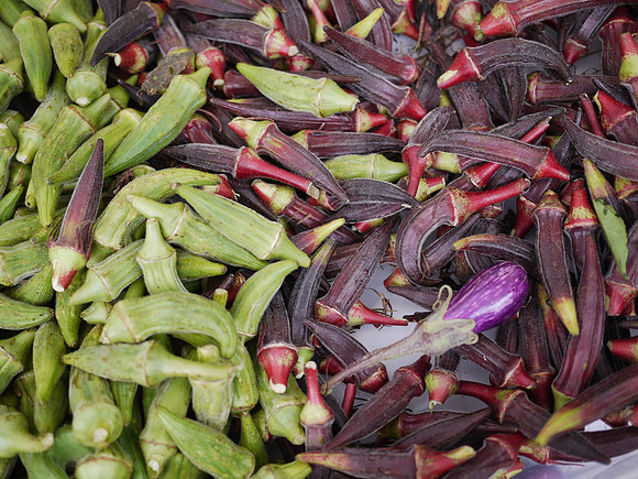 Okra, Union Square greenmarket