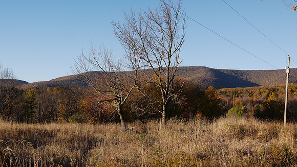 Greene County NY