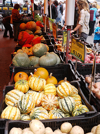 Squashes, pumpkins, and gourds at the Union Square greenmarket.