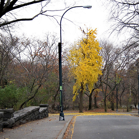At Humboldt Gate