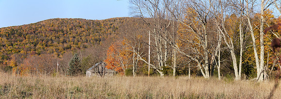 Prattsville, NY