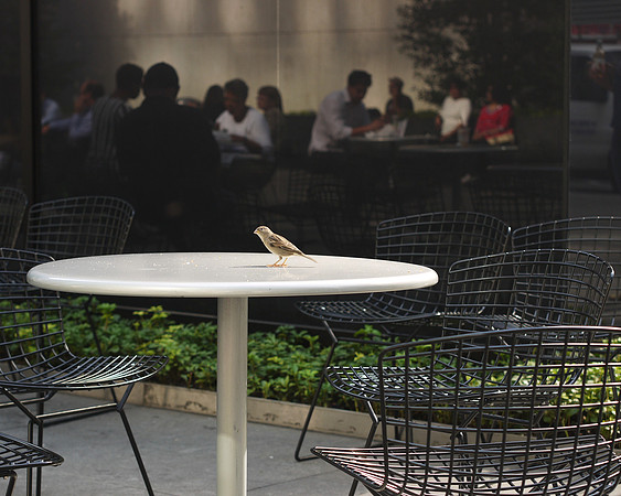 Grace Plaza