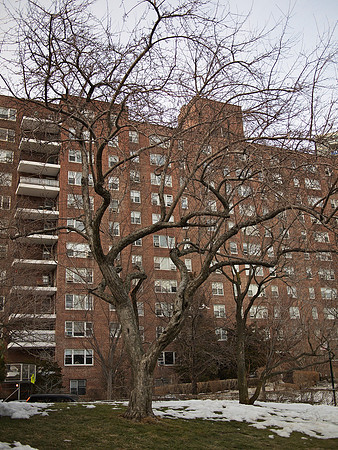 Riverdale, the Bronx